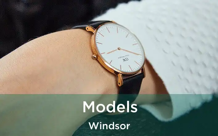  Models Windsor