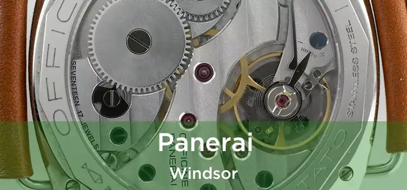  Panerai Windsor